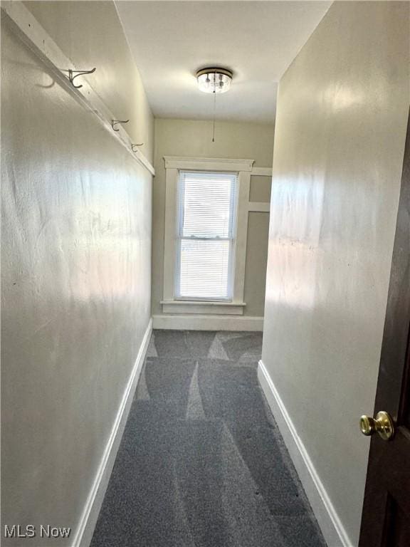 hallway featuring carpet floors