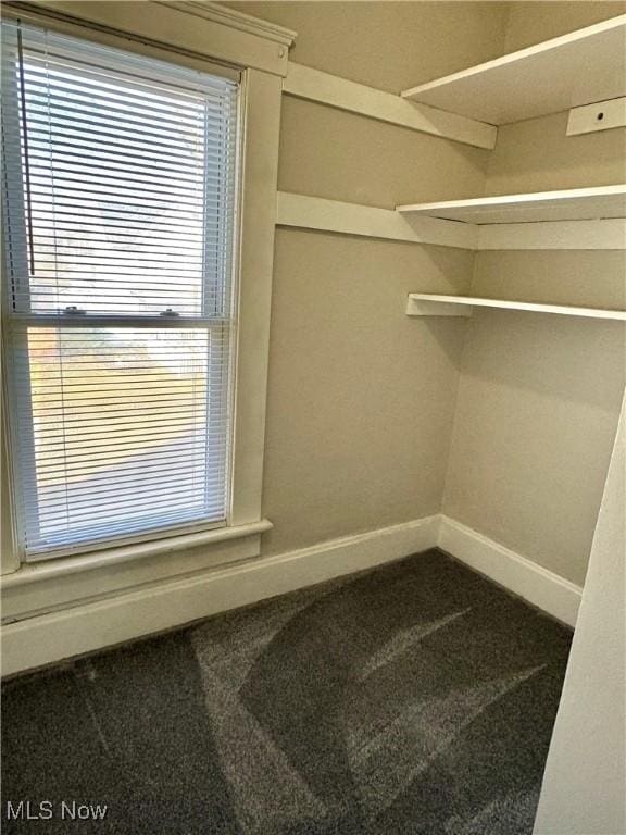 walk in closet featuring carpet