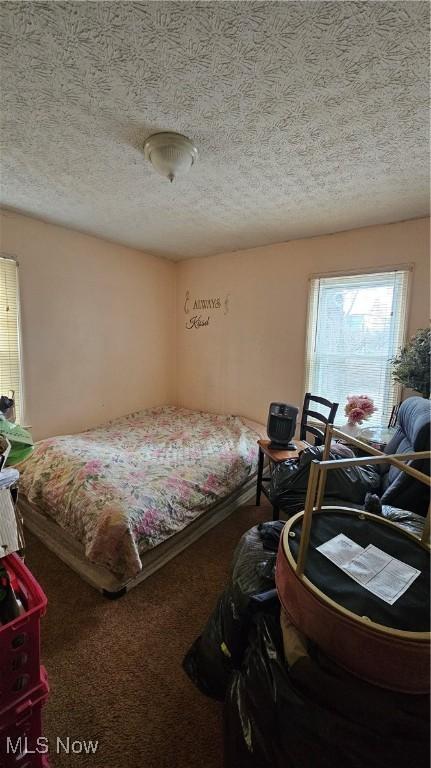 bedroom with carpet and a textured ceiling