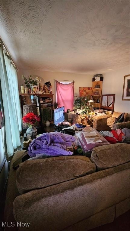 living room with a textured ceiling