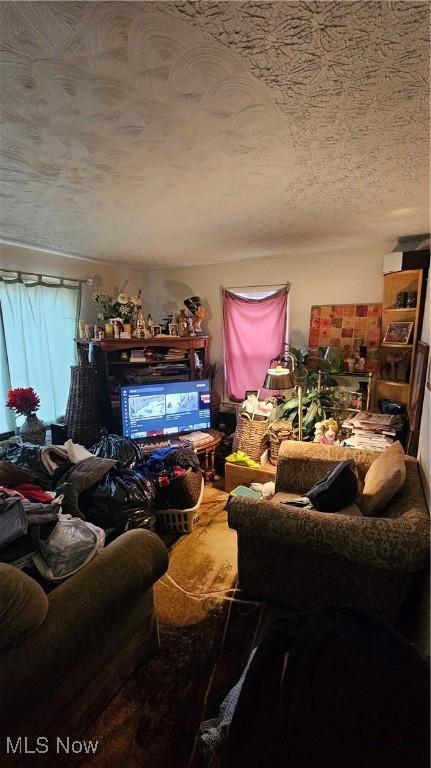 living room with a textured ceiling