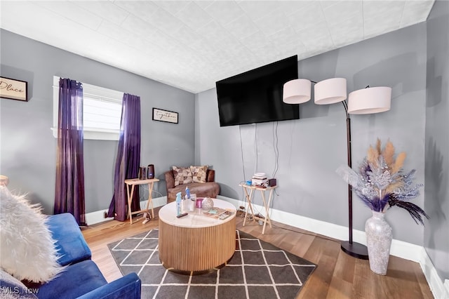 sitting room with wood-type flooring