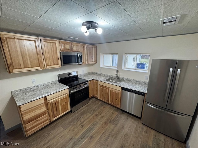 kitchen featuring stainless steel appliances, sink, and dark hardwood / wood-style flooring