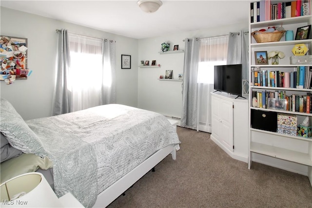 bedroom with carpet flooring