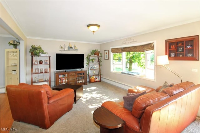 living room featuring a baseboard radiator, ornamental molding, and carpet floors