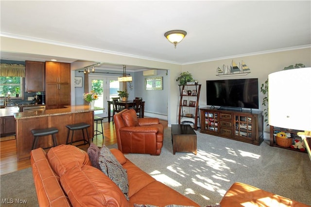 living room featuring sink, crown molding, and a baseboard radiator