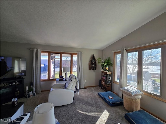 living room featuring carpet floors, vaulted ceiling, and a textured ceiling