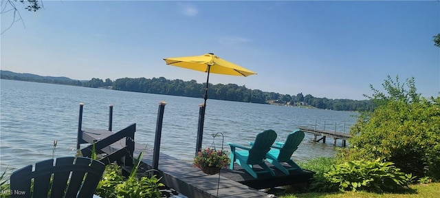 dock area with a water view