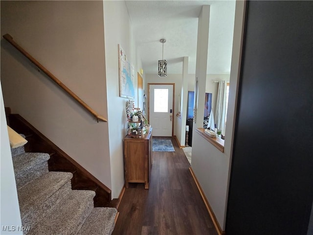 foyer entrance with dark hardwood / wood-style floors