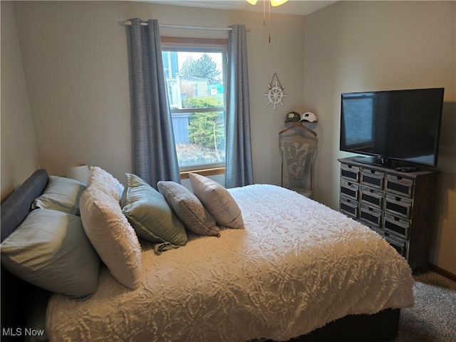 bedroom with carpet floors