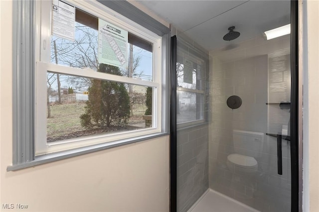 bathroom with a shower with door and a healthy amount of sunlight