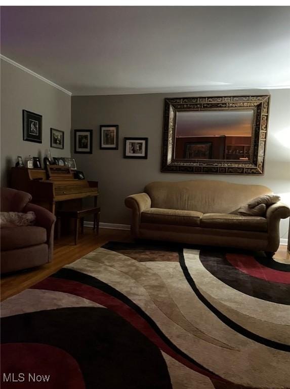 living room with ornamental molding and hardwood / wood-style floors