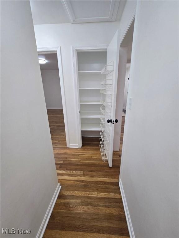 corridor featuring dark hardwood / wood-style flooring