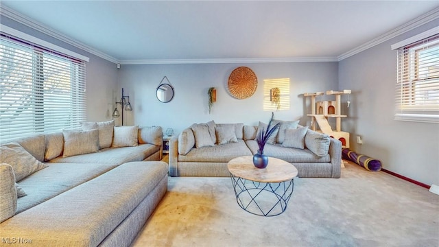 carpeted living room with ornamental molding