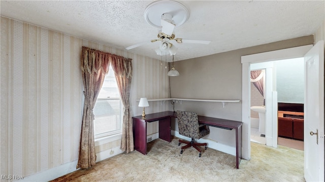 carpeted office space with ceiling fan and a textured ceiling