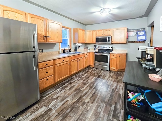 kitchen featuring stainless steel appliances, sink, and dark hardwood / wood-style flooring