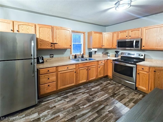 kitchen with stainless steel appliances, dark hardwood / wood-style flooring, and sink