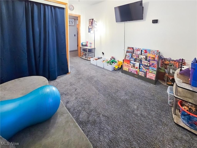 rec room with carpet floors