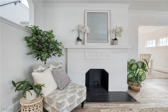 living area with a tile fireplace and crown molding