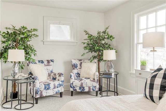 bedroom featuring carpet flooring