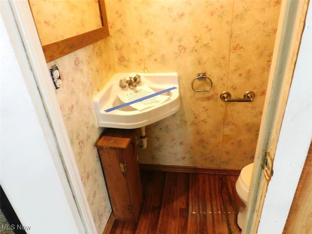 bathroom featuring wood-type flooring, sink, and toilet