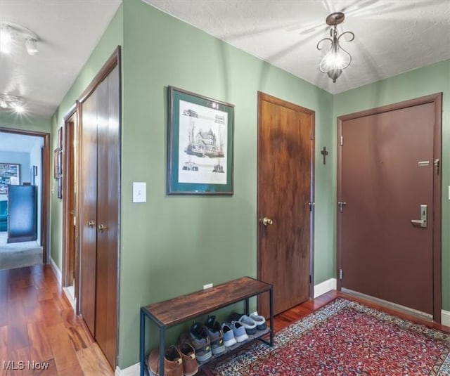 entryway with wood-type flooring