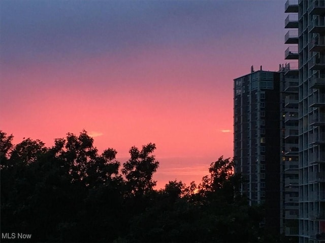 view of nature at dusk