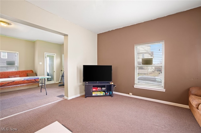 sitting room featuring carpet flooring