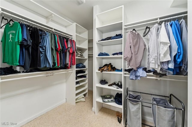 view of walk in closet