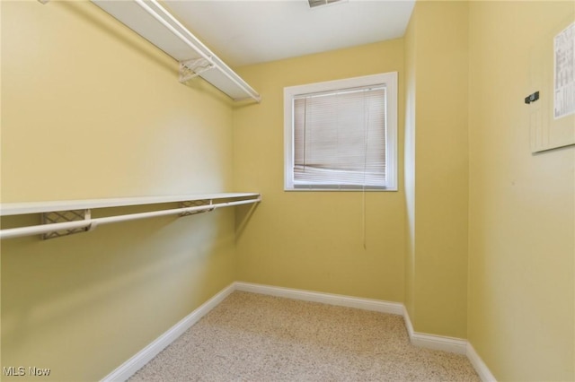 spacious closet with light colored carpet