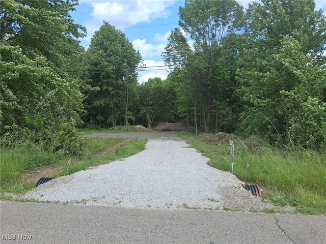 Love Warner Rd, Cortland, OH 44410 - photo 1