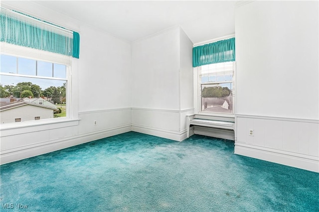 spare room featuring ornamental molding and carpet flooring