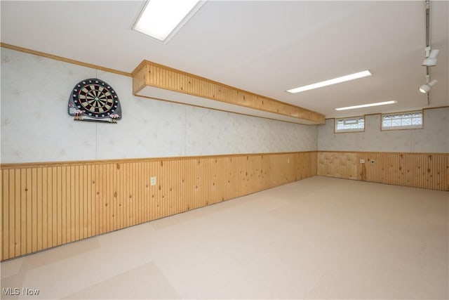 basement with wood walls