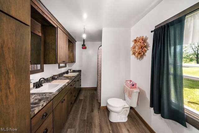 bathroom featuring wood-type flooring, toilet, and vanity