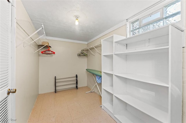 view of walk in closet