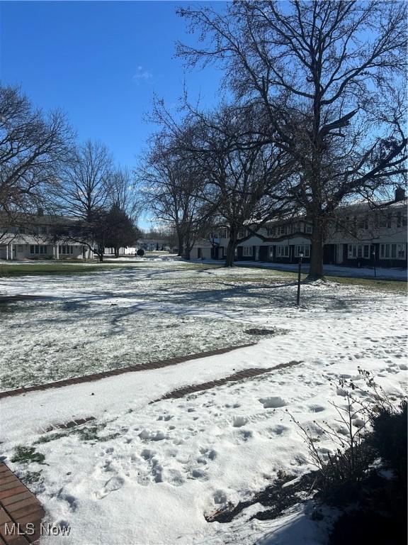 view of yard covered in snow