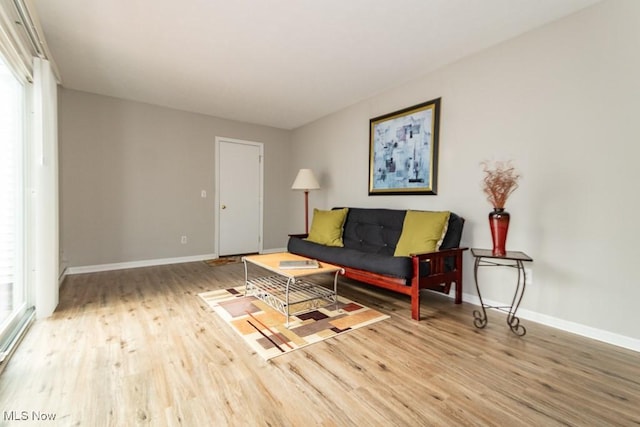 living room featuring hardwood / wood-style floors