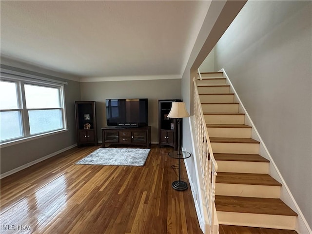 living room featuring wood-type flooring