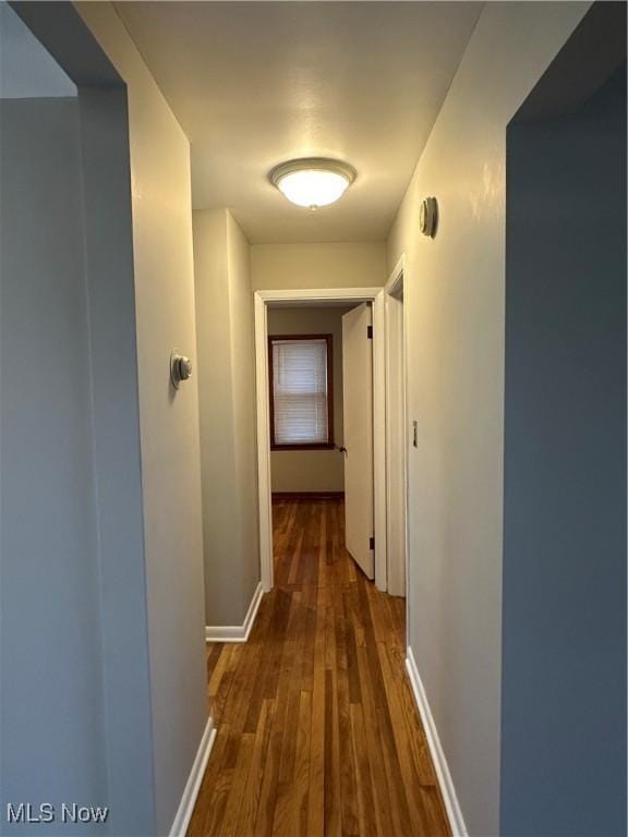 corridor featuring dark hardwood / wood-style flooring