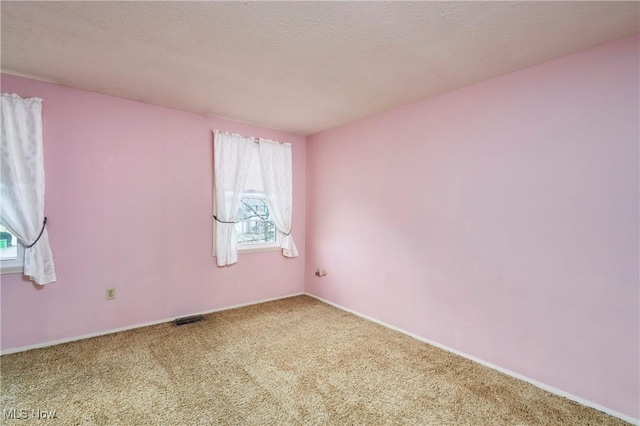 spare room with carpet and a textured ceiling