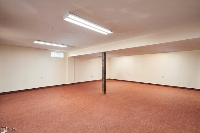 basement featuring carpet