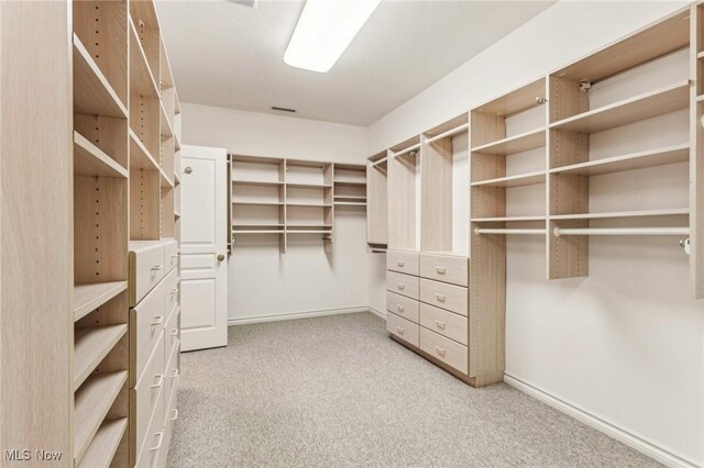 spacious closet featuring light carpet