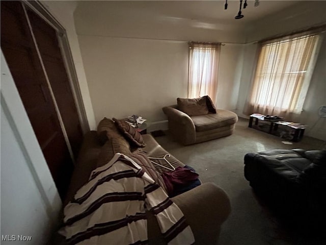 living area with carpet floors