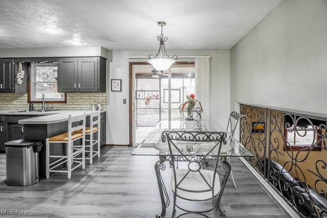 dining room with sink, hardwood / wood-style flooring, plenty of natural light, and ceiling fan