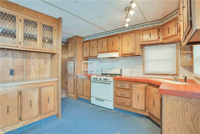 kitchen featuring sink, light colored carpet, and white gas stove