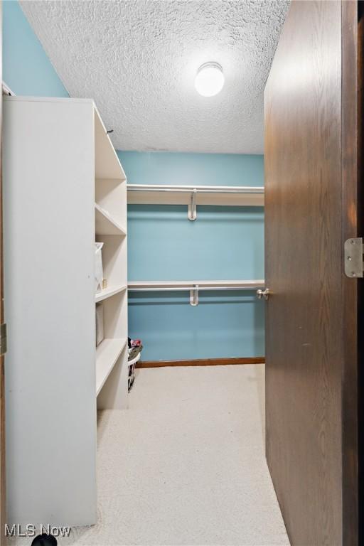 spacious closet with carpet floors