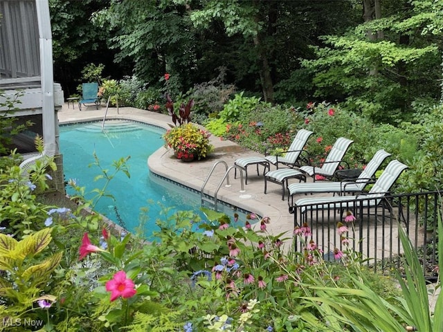 view of pool featuring a patio