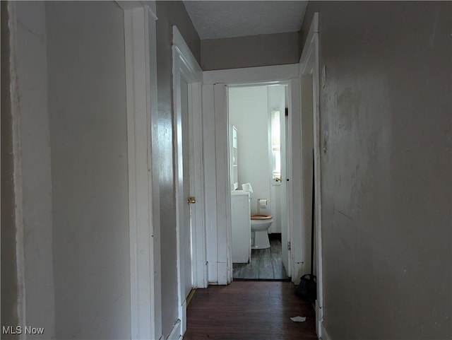 hallway with dark hardwood / wood-style flooring