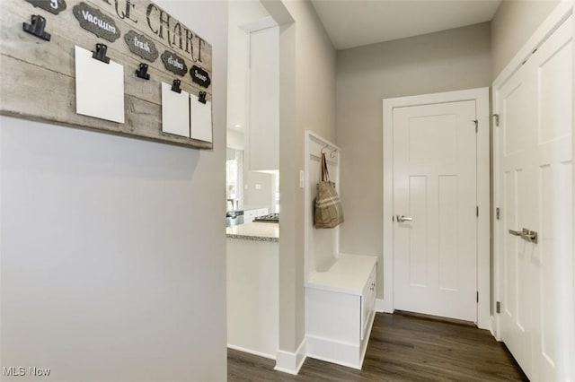 mudroom with dark hardwood / wood-style floors