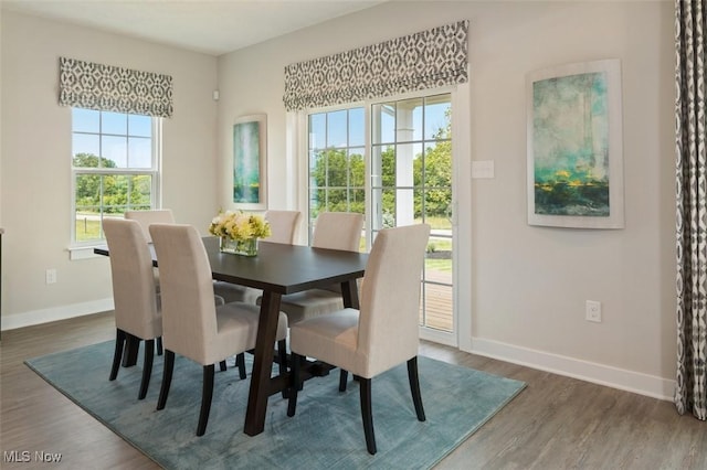 dining area featuring dark hardwood / wood-style flooring